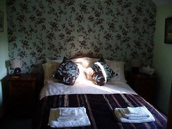 Vine Cottage B&B 데비지스 외부 사진